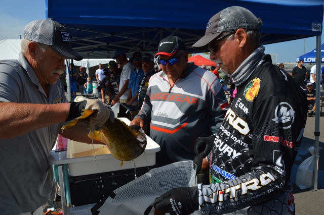 357DC36C-07DF-4EF6-A904-BD8210CCD7A1