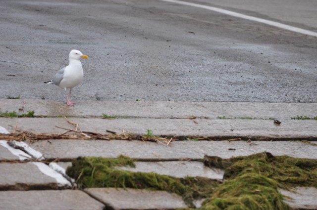 370FAB21-EE02-42BD-9F9F-5D543AA6BC1D
