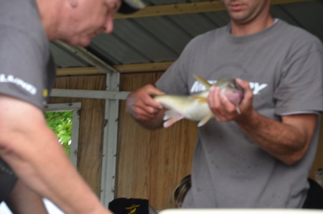 376464D5-FB45-4D8E-838B-9C56F9DF74AF