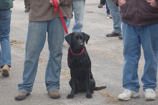 37ABD6B2-86D3-481A-A8F4-D47E984D62E3