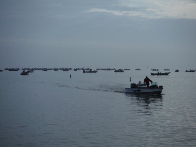 383A899E-FDCB-49E0-A44E-E7867F027BAB