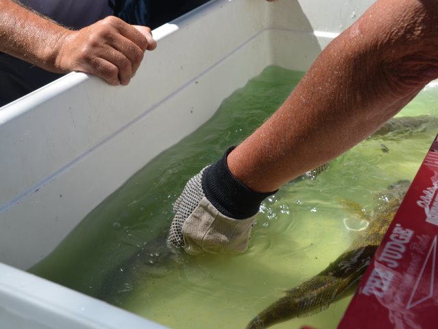 392C40CB-982C-4342-8DA0-D45BB9144C17