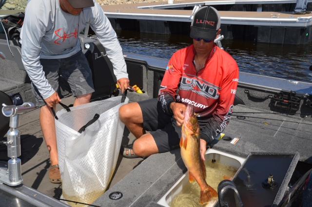 39410D76-8122-4473-9EAC-ED36B6449C96