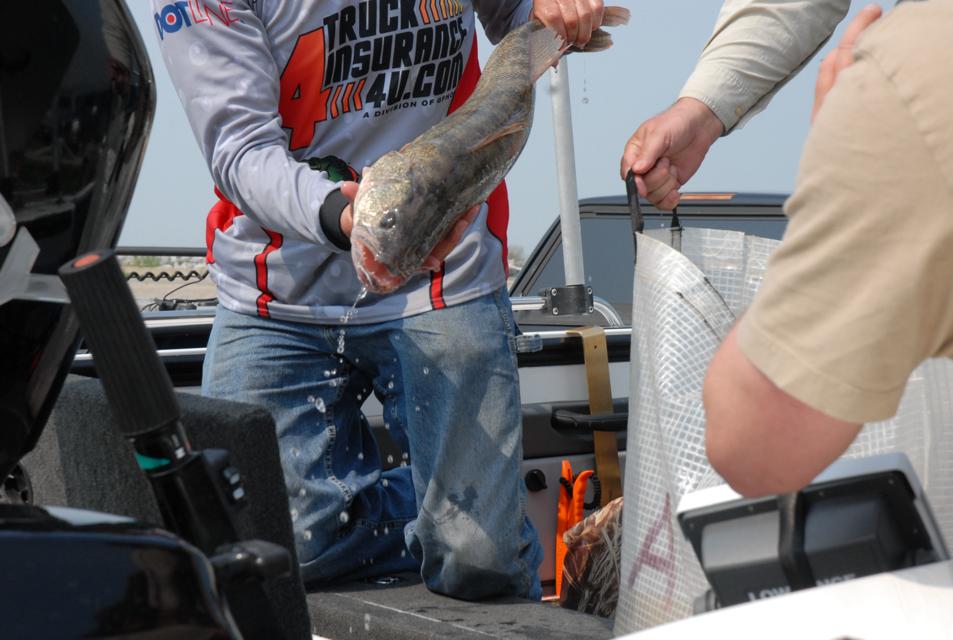 39564B5F-789A-4E4F-ACEA-8C07021C6D33