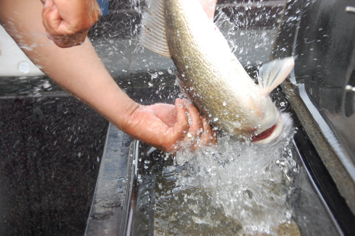 3AB6311C-E9F2-4FB9-9174-1E8070B03338