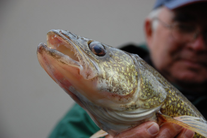 3BD1C56D-613B-4218-BDC1-8097B00DE95D