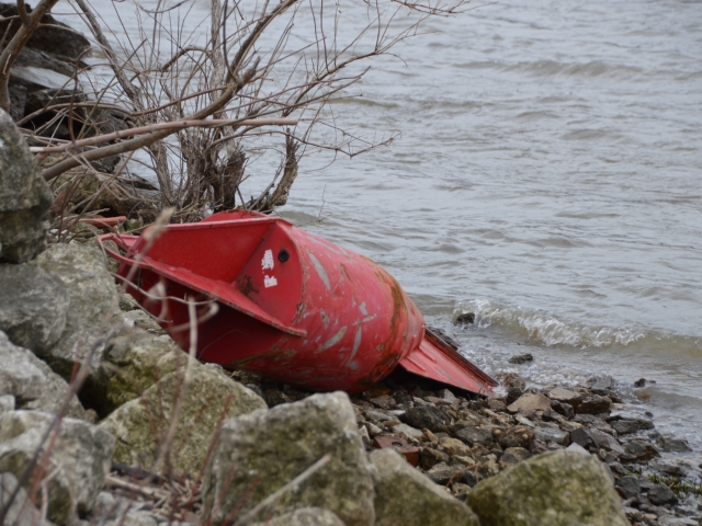 3CD24230-10FE-49B4-98AA-7B083442CEA4