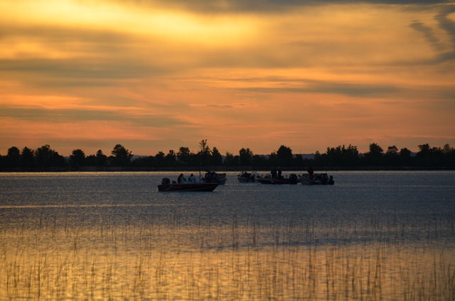 8C2442E6-8146-46EB-BA4B-AA84EB48190E