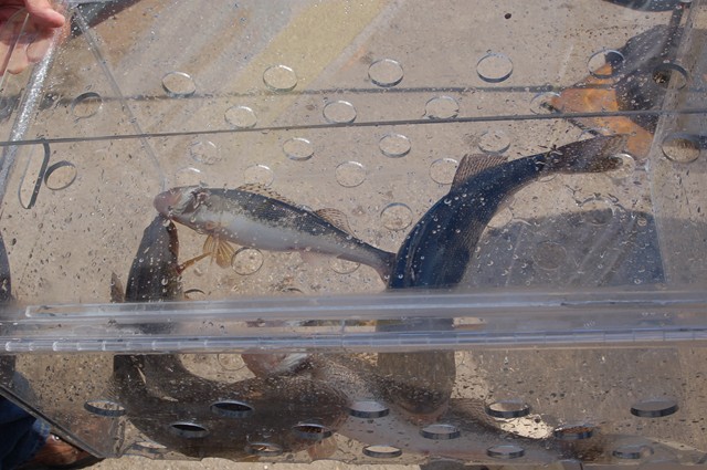 3D46C60B-E345-46A2-AC28-EFD7705EA52E