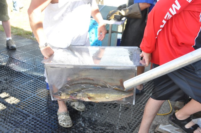 3F2B7228-F959-4ABB-92E3-2E1642A25957