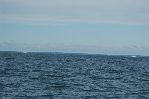 3F728AE0-F412-45EF-9502-6EF1E5968CF4