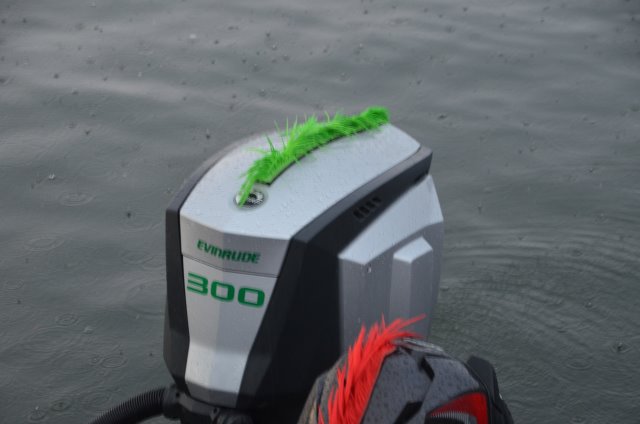 3FC01568-8C96-4DA1-A9D1-A78A4AB55E31