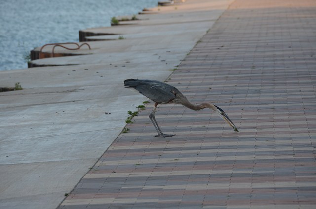 405EA7E2-4225-4508-BE8A-3C6E0688355D