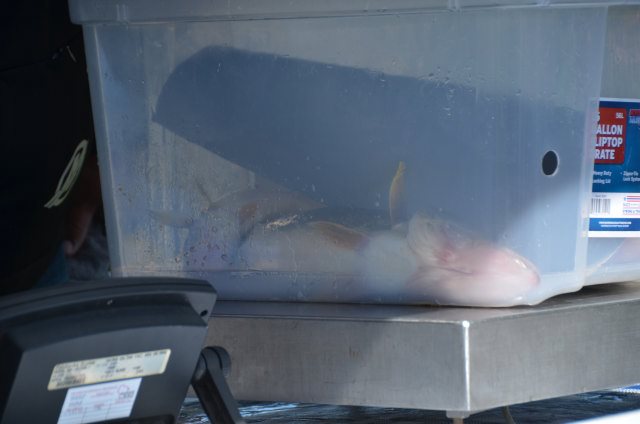 41520F32-8492-4E97-B7E7-A04DB8450E48