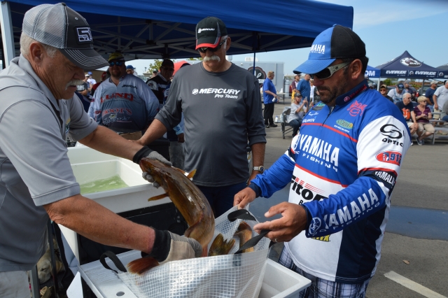 4348DA59-6B9A-4CBC-AD25-513A11FEA350