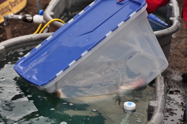 4449E44B-CA06-43D6-A19D-96BBDD8B0748