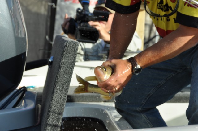 44B223EA-2328-428A-90F2-4D4E6C5BA275