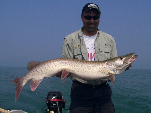 46734AD9-EADC-4DC5-B447-4B4D23D3D7A8