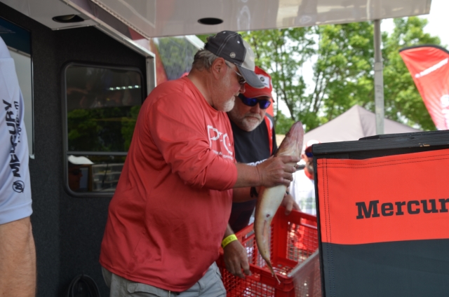 47701A4A-76DA-4ED3-9DCE-098B7B6CC916