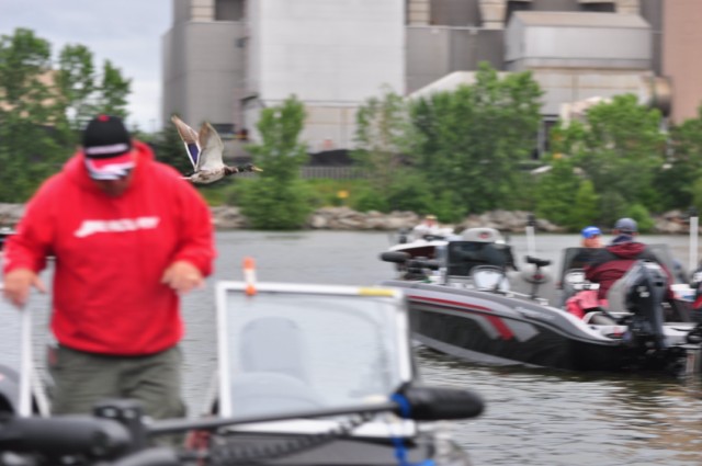 47B654E9-51C7-4F3B-82B0-9617BF00161E