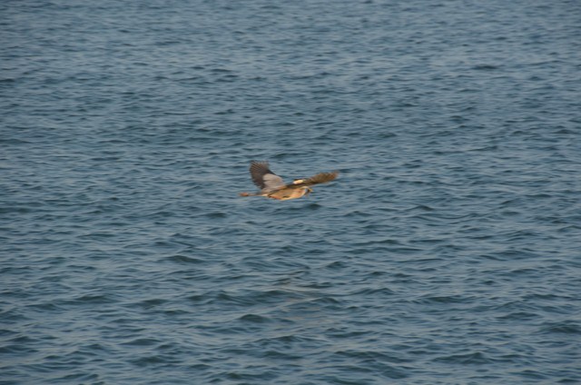 47FFAF2E-FEC7-43F5-8FB2-484E65BCDE11