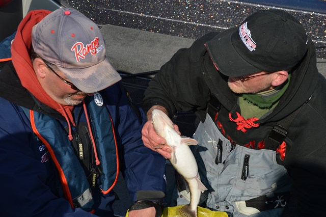 49A04922-5900-4BEE-8DB3-BC5F4939E31F