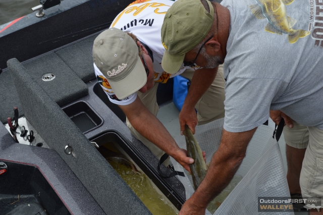 49D9B6C4-9E03-4C9E-B716-C231C80315E0