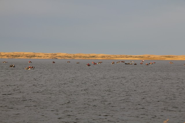 4A0838E8-30C0-4A53-9FA0-3412E2F560F8