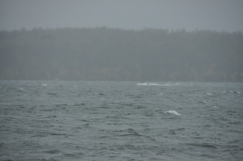 4A400A80-7D37-416E-AA66-C5D410C79AEC