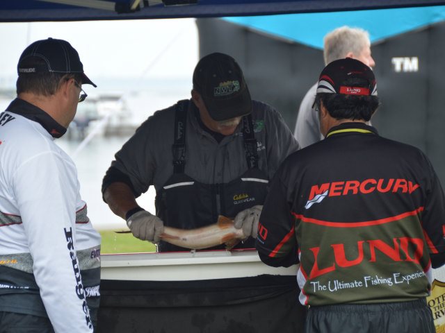 4B4EAADB-9E0E-4F3C-8978-CBDF2E6643A8