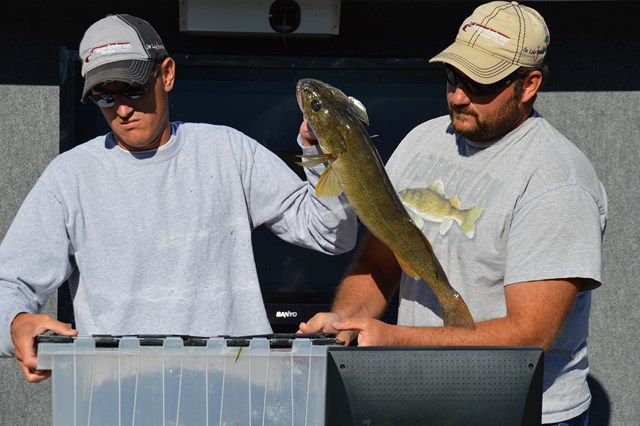 4BFE33E0-017D-4D01-9CBA-00278692C70E