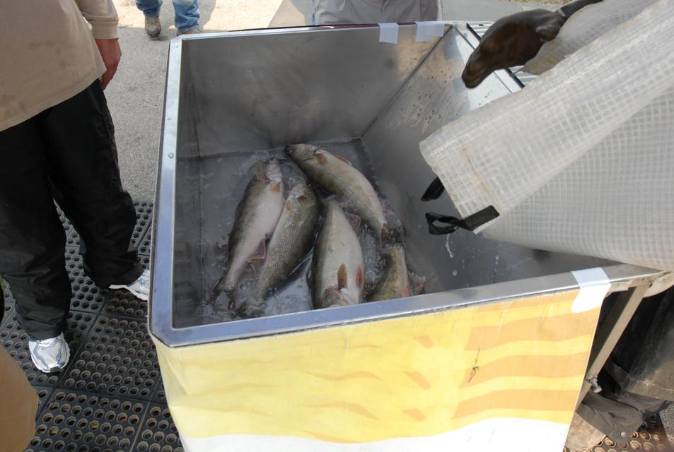 4C243B1F-081A-4E64-8D41-1B4ED16316B9