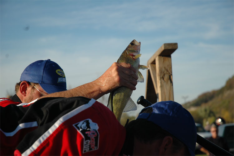 4C68EF9D-823D-4E0C-B7DF-33346C8611C7