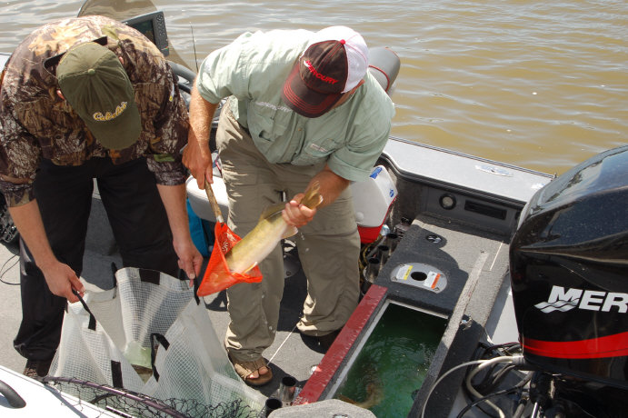 4C81B9F5-DE81-4BEF-A80F-B565C9C322EB