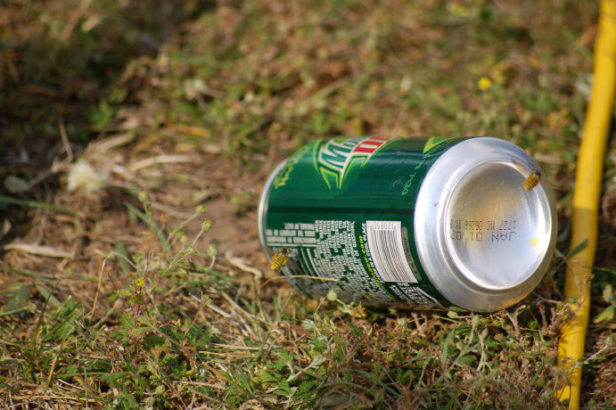 4CA0C766-FFFD-4321-9ACA-F3D9653328AF