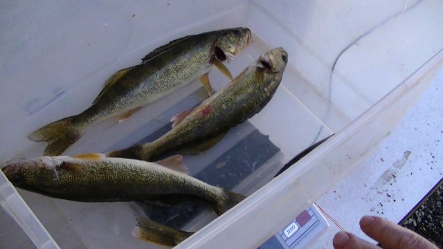 4D8A44CA-7D76-423F-8C94-8BEE1AD0C2B0