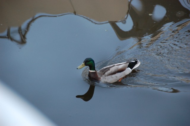 521AF055-9A69-49BF-AEC9-46308E32DEB6