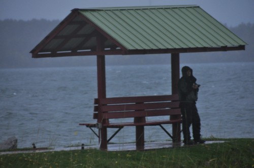 52509CC6-ABD8-44FE-8B3E-E02D6470DD83