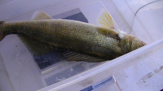 528979B5-F208-4D19-B193-319D683C7577