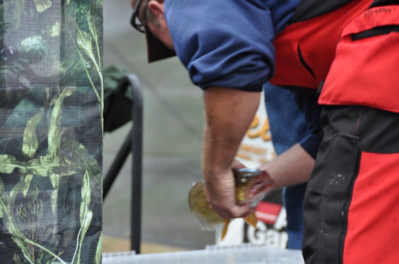 52B46354-A031-4E26-B935-CFC4282E433F