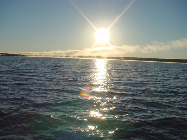 52B74C85-F95C-4119-BCCB-28513E309816