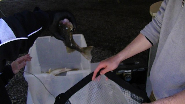 52CD693A-C861-40DF-96F2-9672655EF2E7