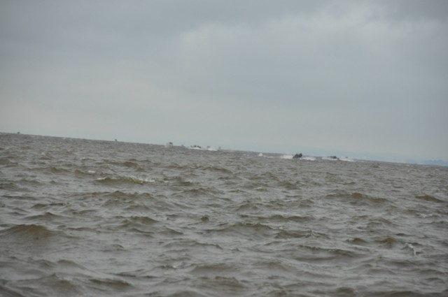 537FE569-3DEF-47B1-A4BD-3DDCC46E8D45