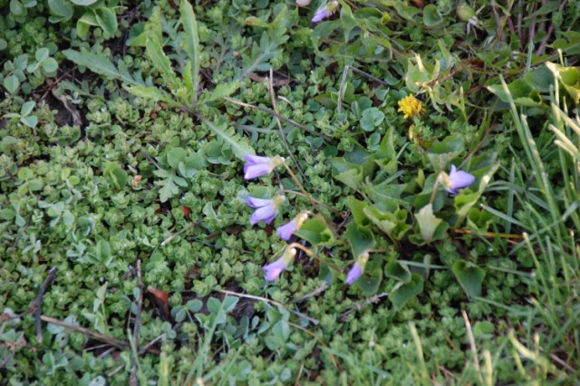 53EF5783-BB55-4325-B1A0-7F032434D895