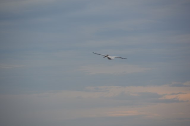 55899A55-0F47-4975-ACFF-6A492C0210AE