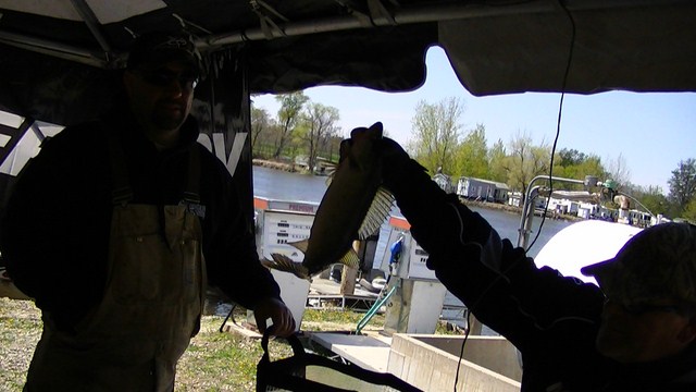 55F63900-B026-40B7-8D69-CDC719CF5CEF