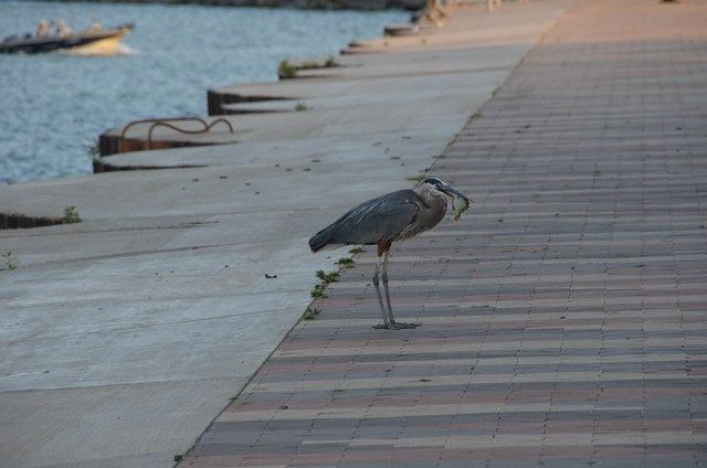 562C94E0-3479-4B6F-B767-66E987F99BB2