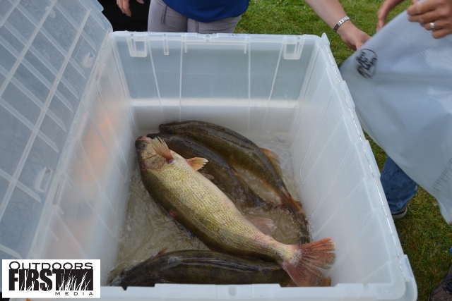 56304928-B394-45D5-AA4A-21AA148F2AF7