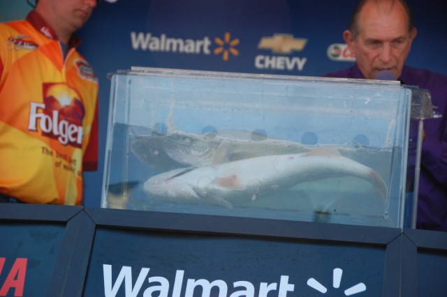 56E26D98-8404-4B33-8ED4-E17C1A166C75