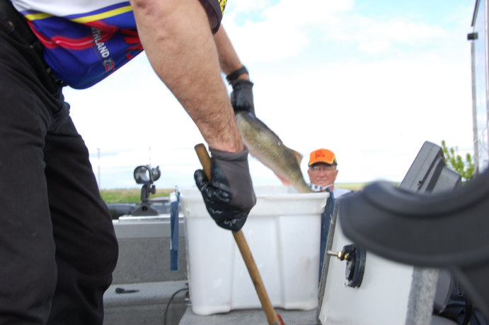 5742CD31-4096-4376-920C-3E66831C7FF8